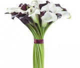 Burgundy and White Glamour Bridal Bouquet - Flowers Box London