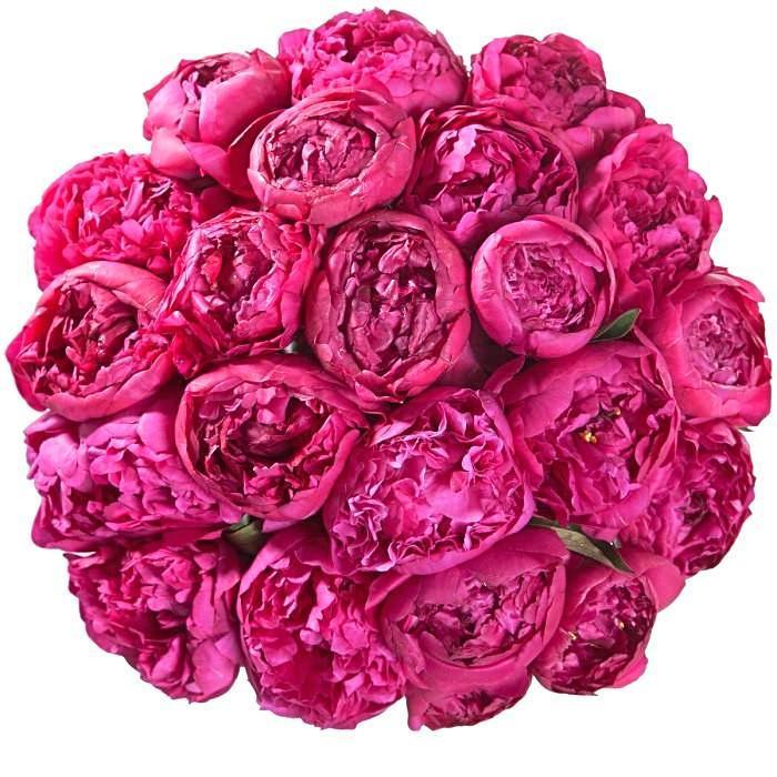 Hot Pink Peony Bouquet