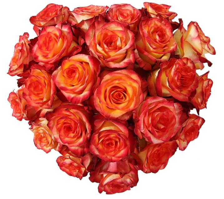 Cherry Brandy Roses Heart Box