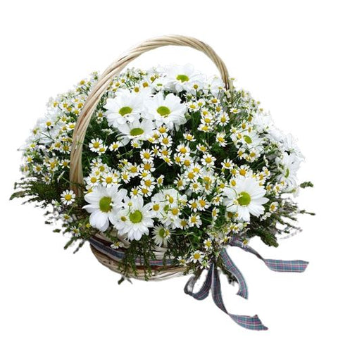 Chrysanthemum and Tanacetum Flower Basket