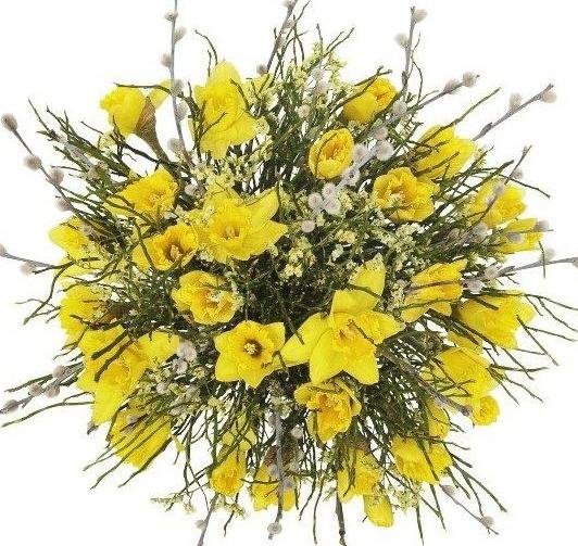 Daffodils with Catkins Bouquet