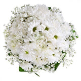 Daisy and Gypsophila Bridal Bouquet - Flowers Box London