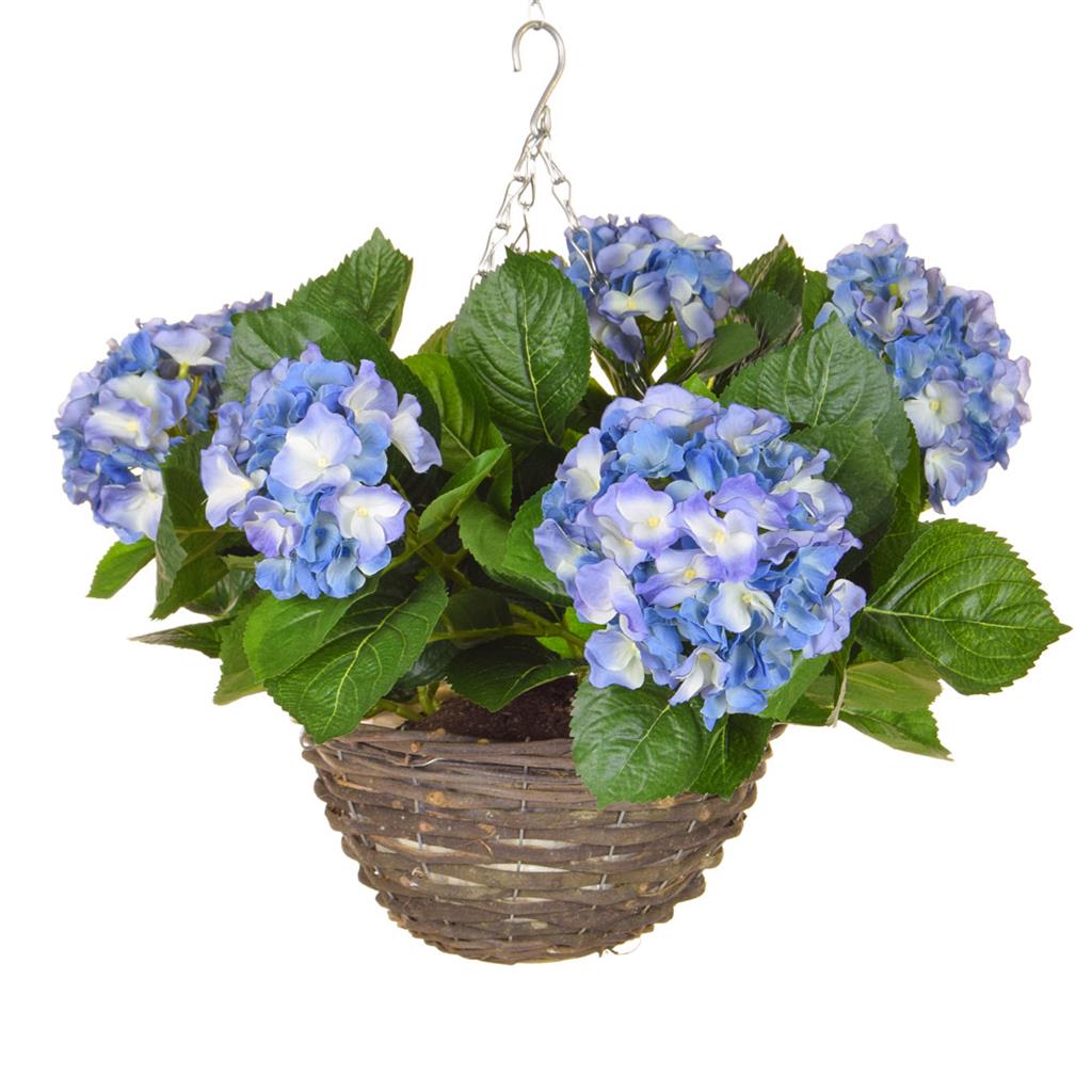 hydrangea hanging plant Hydrangea Hanging Basket - Cascading Blooms for Enchanting Spaces