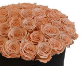Luxury Cappuccino Roses Box - Flowers Box London