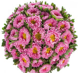 Pink Aster Bouquet - Flowers Box London