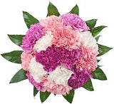 Pink Shades of Carnations Bouquet - Flowers Box London