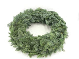 Plain Fresh Spruce Wreath - Flowers Box London