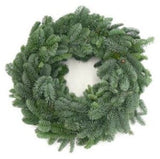 Plain Fresh Spruce Wreath - Flowers Box London