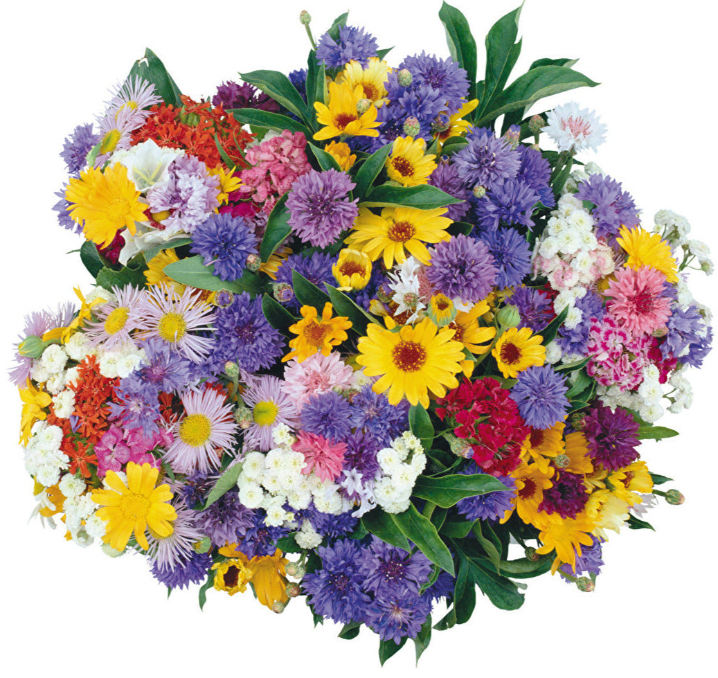 Rainbow Bouquet with Cornflowers