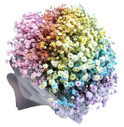 Rainbow Gypsophila Bouquet