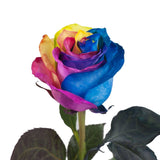 Rainbow Roses Bouquet - Flowers Box London