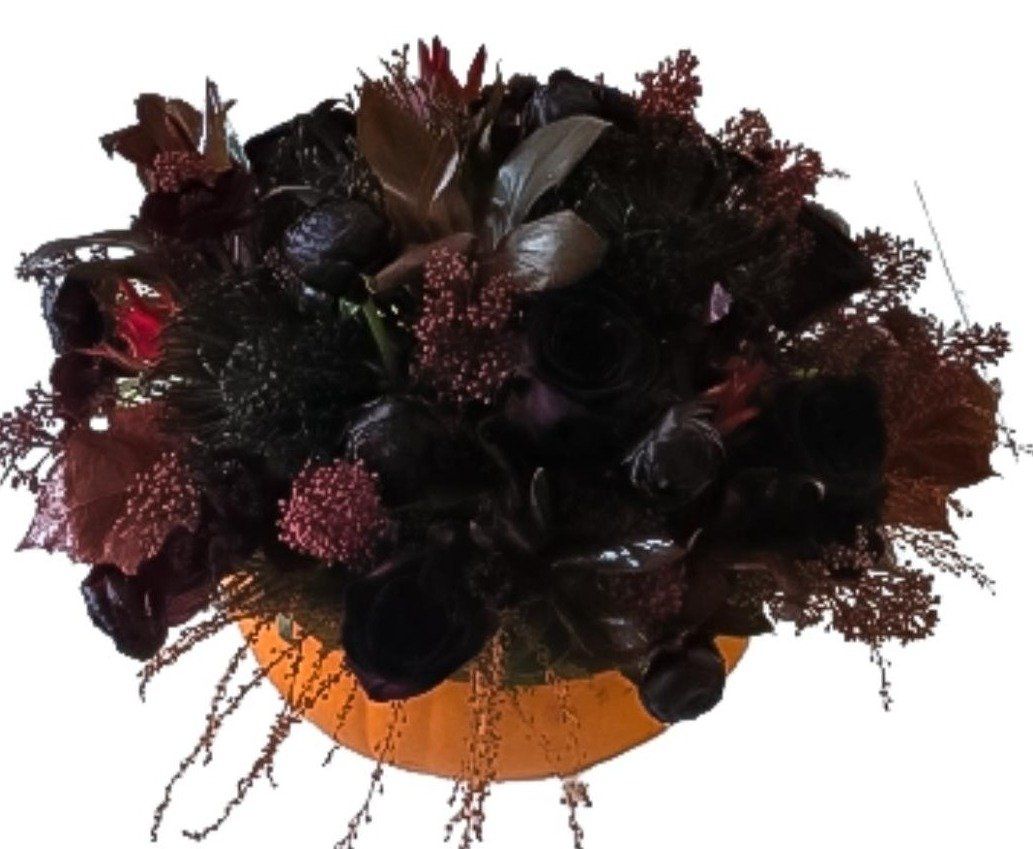 Real Black Flower in Orange Pumpkin – Unique Halloween and Autumn Decor ...