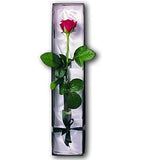 Red Single Rose Luxury Box - Flowers Box London