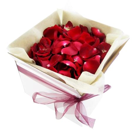Rose Petals in a Square Box