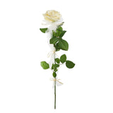 Single Rose - Flowers Box London