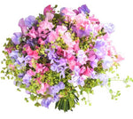 Sweet Pea with Greenery Bouquet