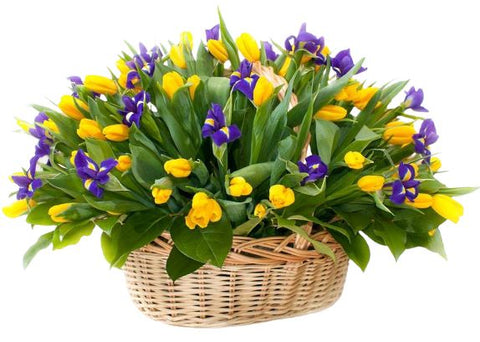 Tulips and Iris Basket