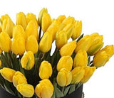 Tulips in a Box - Flowers Box London