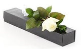 White Single Rose Luxury Box - Flowers Box London