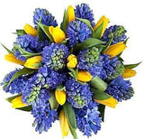 Yellow & Blue Bouquet - Flowers Box London