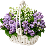 Basket of Lily of the Valley and Lilac