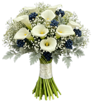 Calla Lily with Gypsophila and Blueberries Bouquet