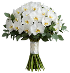 Classic Phalaenopsis Orchids Bouquet with Greenery