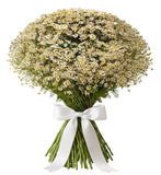 Cheerful Tanacetum Bouquet