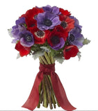 Blue & Red Anemone Bouquet