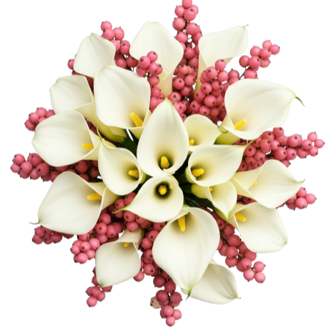 Bouquet of Calla Lily with Pink Snowberry