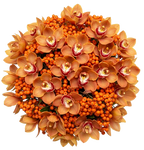 Bouquet of Cymbidium Orchids and Rosehip Berries
