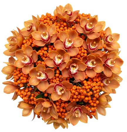 Bouquet of Cymbidium Orchids and Rosehip Berries
