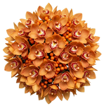 Bouquet of Cymbidium Orchids and Rosehip Berries