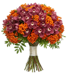 Bouquet of Cymbidium Orchids and Rosehip Berries