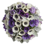 Bouquet of Mistral Rarity Anemone