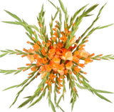 Bouquet of Orange Gladioli
