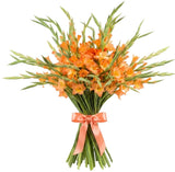 Bouquet of Orange Gladioli
