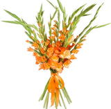 Bouquet of Orange Gladioli