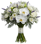 Bouquet of Phalaenopsis Orchids with Lisianthus and Lavender Accent