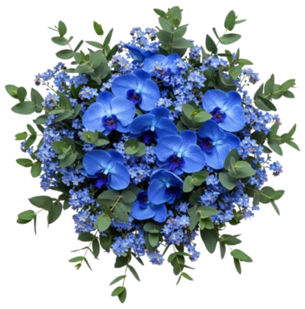 Buquet of Forget Me Not with Blue Phalaenopsis Orchids