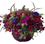 Burgundy Luxury Pumpkin Arrangement