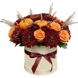 Burgundy and Orange Halloween Box