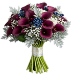 Calla Lily with Gypsophila and Blueberries Bouquet