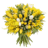 Charming Bouquet of Mimosa With Tulips and Tanacetum