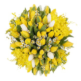 Charming Bouquet of Mimosa With Tulips and Tanacetum