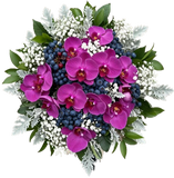Charming Bouquet of Phalaenopsis Orchids with Gypsophila and Berries