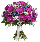 Charming Bouquet of Phalaenopsis Orchids with Gypsophila and Berries
