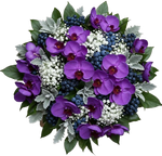 Charming Bouquet of Phalaenopsis Orchids with Gypsophila and Berries