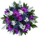Charming Bouquet of Phalaenopsis Orchids with Gypsophila and Berries