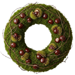 Chestnut and Twigs Moss Door Wreath